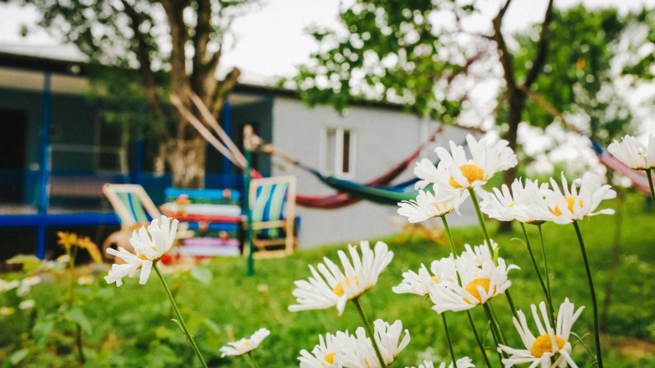 Bebo Babu Guest House Кутаиси Екстериор снимка