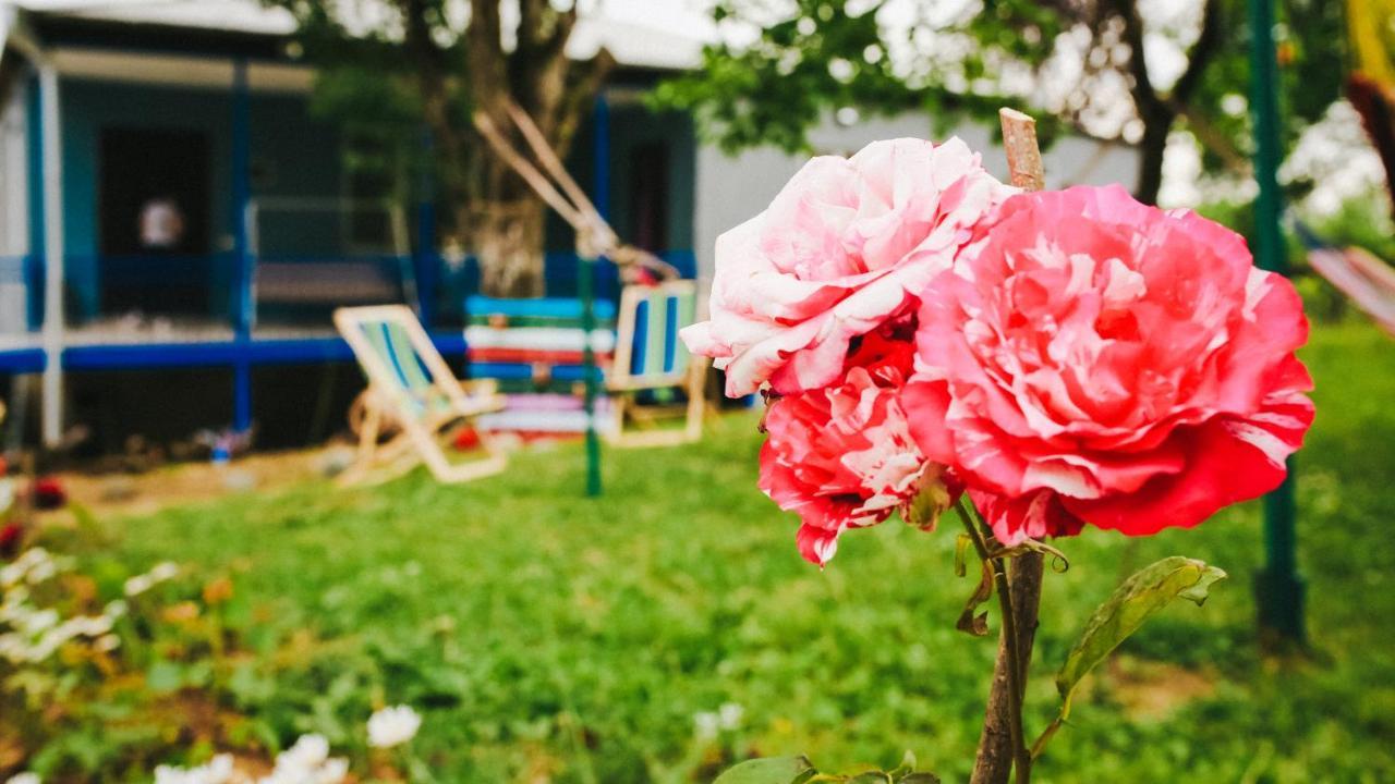 Bebo Babu Guest House Кутаиси Екстериор снимка